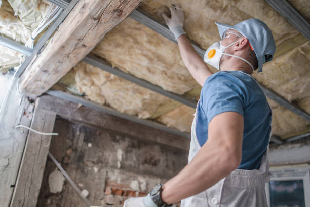Best Insulation Removal  in Emporium, PA